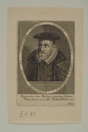 Jacobus Theodorus