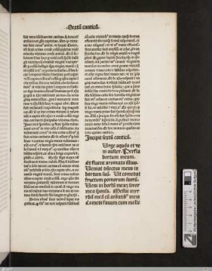 Sextum canticum