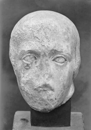 Südmetope 27: Kentaur und Lapith — Kopf des Lapithen