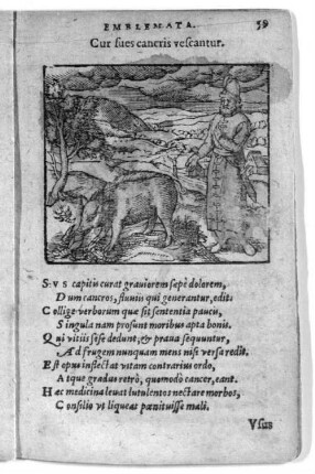 Cur sues cancris vescantur.