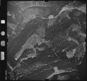 Luftbild: Film 11 Bildnr. 99