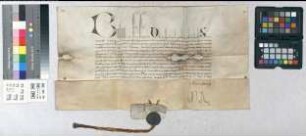 Papst Bonifaz IX. verleiht dem Dom zu Paderborn Ablässe.