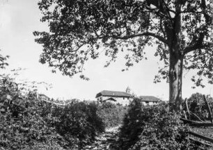 In Kaltern : Blick über einen Weinberg auf ein Gebäude