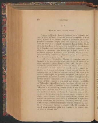 XIV. "Puso el poeta en sus versos"...