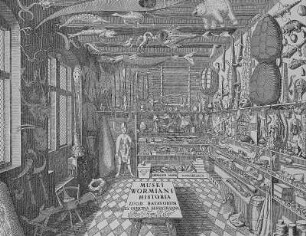 Musei Wormiani Historia, Kuriositätenkabinett des Ole Worm : Musei Wormiani Historia, Kuriositätenkabinett des Ole Worm. Kupferstich, 1655