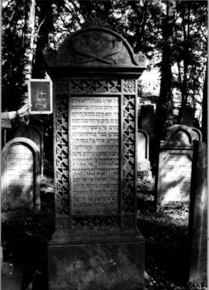 Grabstein 217 (Index: 100112175) Material: Sandstein Zustand: gut Maße HxBxT: 216x75x36 cm Beschreibung: Stele, profilierter Sockel, Abdeckplatte mit Rundbogenaufsatz mit Mittel- und Eckakroteren, rechteckiges Schriftfeld eingetieft Symbolik: zwei gekreuzte Schofarhörner, Blüten, Ranken, Diamantfries Besonderheit: kulturhistorisch wertvoll / hist.-wiss. Gründe: Grabstein 217