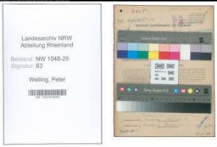 Entnazifizierung Peter Welling , geb. 10.09.1882 (Beamter)