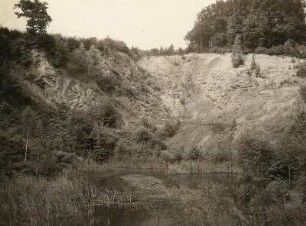 Tal der Freiberger Mulde : Mittelsachsen. Tal der Freiberger Mulde unterhalb Roßwein. Alte Sandgrube von Niederstriegis. Aufschluß eines alten Seitentälchens