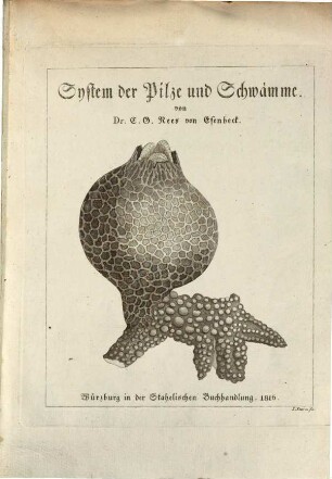 Das System der Pilze und Schwämme : ein Versuch ; mit 44 Kupfertafeln und einigen Tabellen, [2]. [Tafeln]