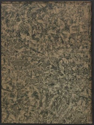 Ḥikāyat al-ʿašara wuzarāʾ wa-'l-malik wa-mā ǧarā lahum - BSB Cod.arab. 630