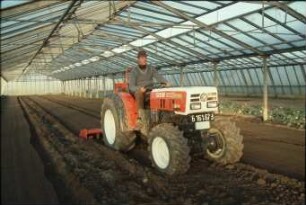 Fotografie: Traktor, Schmalspurtraktor, Gartenbautechnik-Gewächshaus