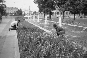 Bepflanzung des Grünstreifens längs der Wasserspiele in der Ettlinger Straße beim Festplatz.