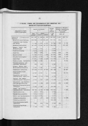 5. Heizöl-, Strom-, und Gasverbrauch der Industrie 1976