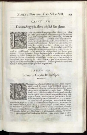 Caput VII. Datura Aegyptia flore triplici seu pleno. - Caput VIII. Leonurus Capitis Bonae Spei, ex Breynio.