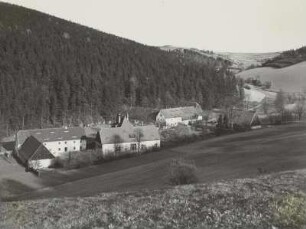 Oelsen-Bienhof (Bad Gottleuba-Berggießhübel-Oelsen). Naturschutzgebiet Bienhof. Ortsteilansicht mit Hammergut (Erholungsheim Landesverein Sächsischer Heimatschutz)