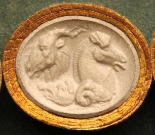 Zusammengesetzte Tiere (Daktyliothek, Supplement)