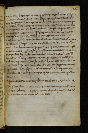 Ars grammatica, liber II (Exzerpt)
