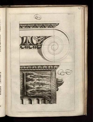 Illustration XXXXVI: Serlio. Antique Capitel