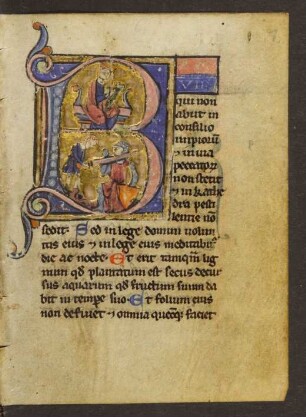 Psalterium non feriatum