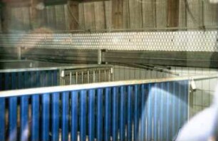 Fotografie: Tierproduktionsverfahren, Schweinehaltung