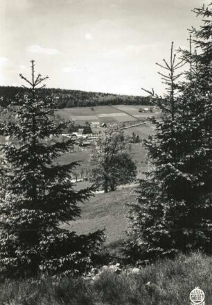 Rehefeld (Altenberg-Rehefeld-Zaunhaus). Grenzbaude und Umgebung