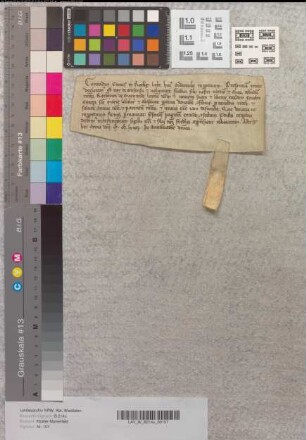 Graf Conrad zu Rietberg eignet dem Kloster Marienfeld den Hörigen Rotbert von Ovenwide.
