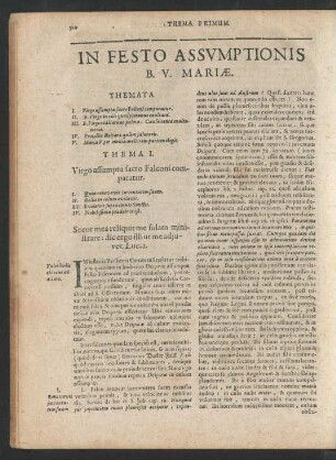 In Festo Assumptionis B. V. Mariae.