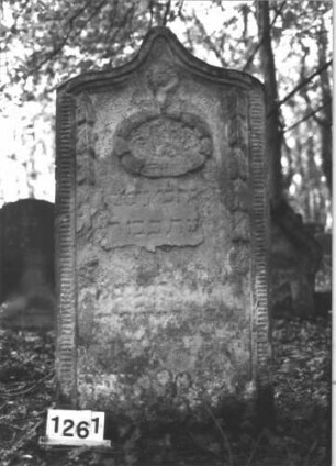 Grabstein 1261 (Index: 99900081) Material: Sandstein Zustand: fast völlig verwittert Maße HxBxT: 142x72x14 cm Beschreibung: Stele mit Kielbogenabschluss, im Bogenfeld Blüte und Kranz, seitlich herabhängende Blattranken, Rahmen mit Zahnfries Symbolik: Kranz, Blüten, Blattranken, Zahnfries: Grabstein 1261
