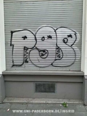 PgS