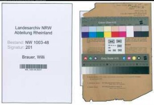Entnazifizierung Willi Brauer , geb. 28.10.1901 (Bankinspektor)