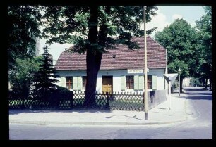 Wittenau Dorfaue 17.6.67.