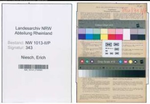 Entnazifizierung Erich Niesch , geb. 31.03.1908 (Polizist)