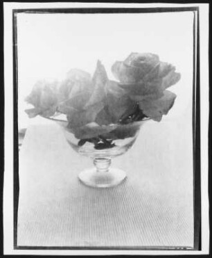 Stillleben Glasschale mit Rosen