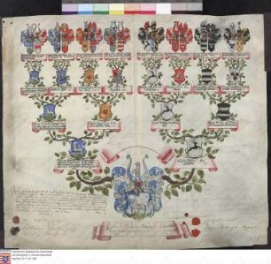 Ahnenprobe des Carl und Christian v. Weitolshausen gen. Schrautenbach. - ausgefertigt 1727 November 15, Pergament