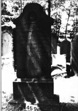 Grabstein 459 (Index: 99629960) Material: Sandstein Zustand: leicht verwittert Maße HxBxT: 157x75x39 cm Beschreibung: Stele auf Sockel mit geschwungenem Rundbogenabschluß Symbolik: Blüte: Grabstein 459