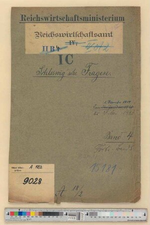 Schleswig'sche Angelegenheiten: Bd. 4