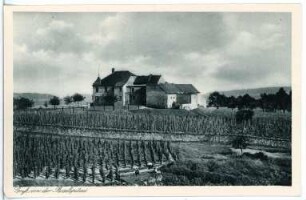 Meißen. Bosel, Vetters Weinschank
