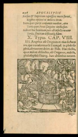 X. Typus. Cap. VIII.