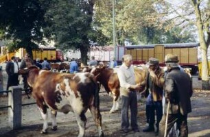 Viehmarkt