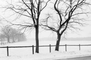 Wendland, Deutschland, 2004