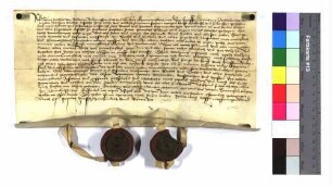 "Kaufbrief Kunz Ziegler von Halheim" (Altrep. S. 333)