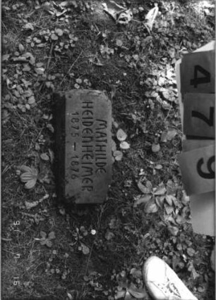 Grabstein 479 [Hahn S. 240 Grab-Nr. 368]