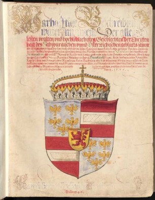 Ehrenspiegel des Hauses Österreich (Buch I - VI) - BSB Cgm 895