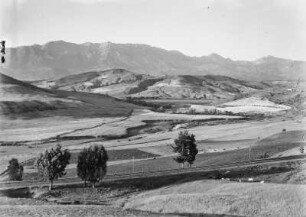Kulturlandschaft : Blick über die von Getreidefeldern und Weinstöcken geprägte Landschaft in Richtung des Diebel Djurdjura