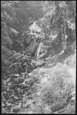 Wernigerode. Wasserfall an d. Kleinen Renne