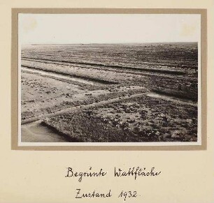 Westküste Landgewinnung - begrünte Wattfläche