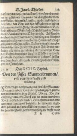 Das XXXIX. Capitel.