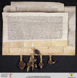 Gesamtansicht Vorderseite (Urk. Lehmann 326-329)