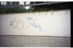 MC StAR