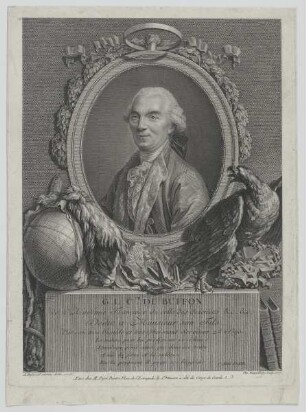 Bildnis Georges Louis Leclerc Comte de Buffon